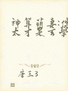神算萌妻:傅太太才是玄学真大佬结局