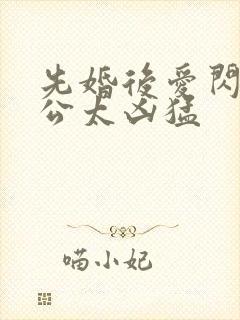 先婚后爱闪婚老公太凶猛