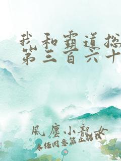 我和霸道总裁的第三百六十五天