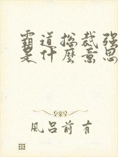 霸道总裁强制爱是什么意思