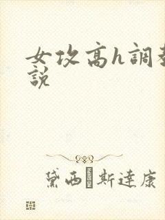 女攻高h调教小说