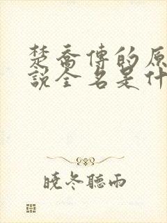 楚乔传的原著小说全名是什么啊