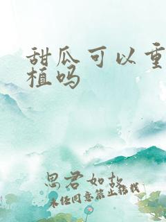 甜瓜可以重茬种植吗