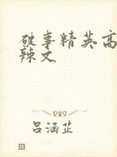 破事精英高h肉辣文
