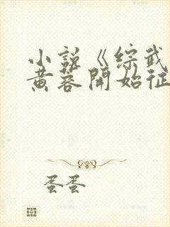 小说《综武:从黄蓉开始征服》
