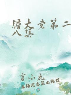 胆大党第二季第八集