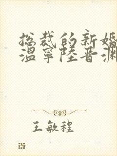 总裁的新婚罪妻温宁陆晋渊