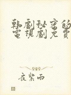 韩剧秘密的男人电视剧免费