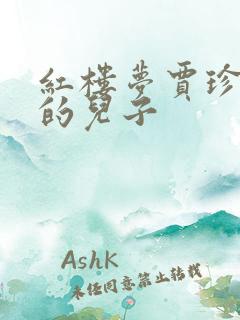 红楼梦贾珍是谁的儿子