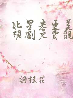 比星光更美丽电视剧免费观看全集
