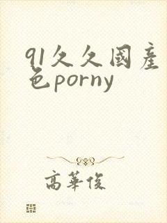 91久久国产九色porny