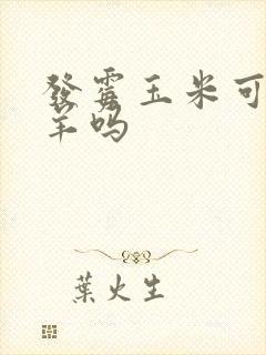 发霉玉米可以喂羊吗