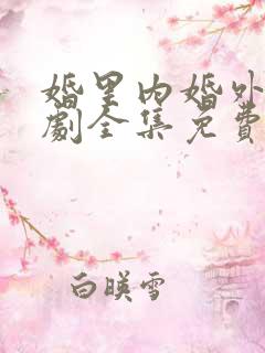 婚里内婚外电视剧全集免费观看