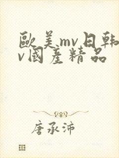 欧美mv日韩mv国产精品