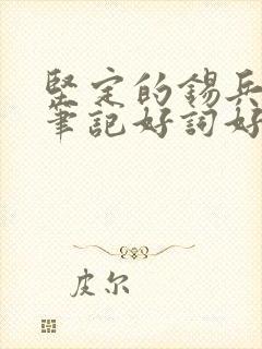 坚定的锡兵读书笔记好词好句