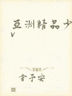 亚洲精品少妇av