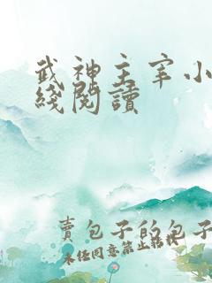 武神主宰小说在线阅读