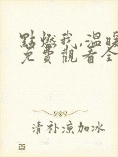 点燃我,温暖你免费观看全集完整版