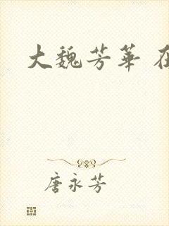 大魏芳华 在线 大魏芳华 在线