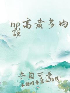 np高黄多肉小说