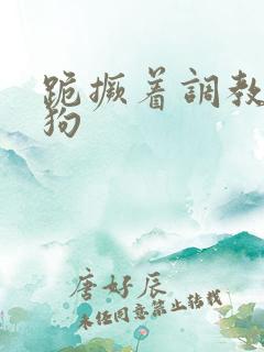 跪撅着调教骚母狗