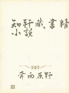 知轩藏书精校版小说