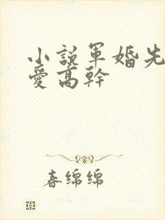 小说军婚先婚后爱高干