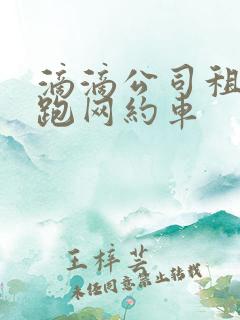 滴滴公司租电车跑网约车