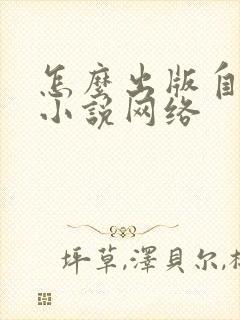 怎么出版自己的小说网络