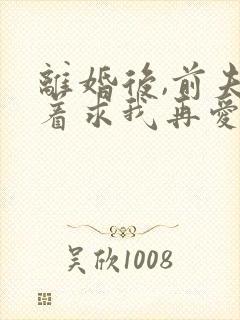 离婚后,前夫哭着求我再爱他一次小说