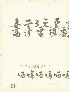 妻子3免费完整高清电视剧在线观看