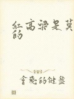 红高粱是莫言写的