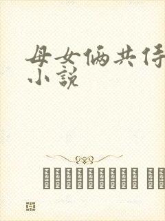 母女俩共侍一夫小说