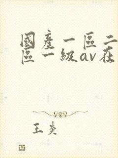国产一区二区三区一级av在线观看