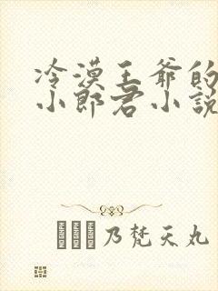 冷漠王爷的替嫁小郎君小说 冷漠王爷的替嫁小郎君小说
