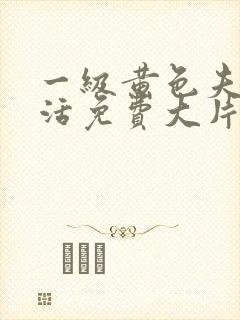 一级黄色夫妻生活免费大片
