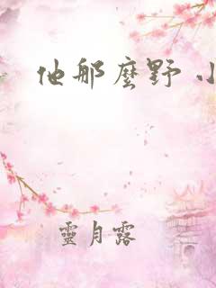 他那么野 小说
