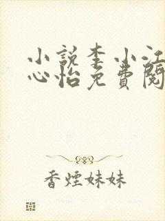 小说李小江与王心怡免费阅读全文