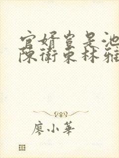 官婿岂是池中物陈卫东林雅晴小说