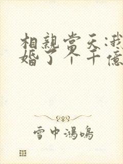 相亲当天:我闪婚了个千亿富翁