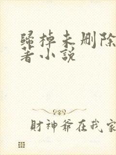 归棹未删除版原著小说