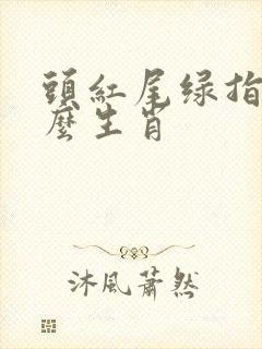 头红尾绿指是什么生肖