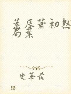 叶辰萧初然大结局叶