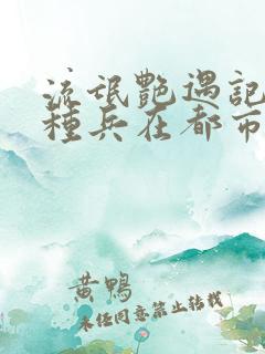 流氓艳遇记之特种兵在都市