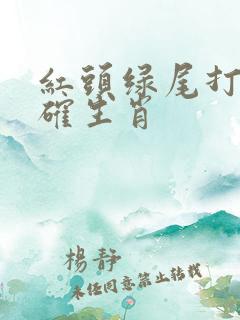 红头绿尾打一正确生肖
