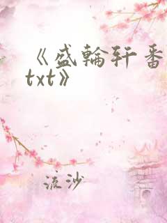 《盛轮轩番外篇txt》