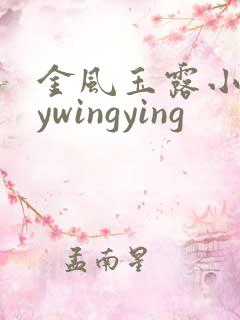 金风玉露小说bywingying