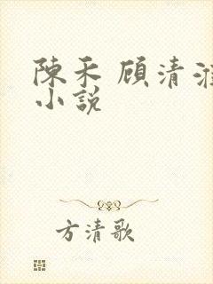 陈禾 顾清淮 小说