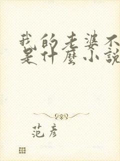 我的老婆不对劲是什么小说
