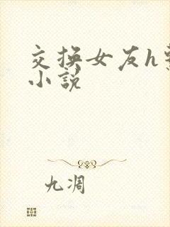 交换女友h系列小说